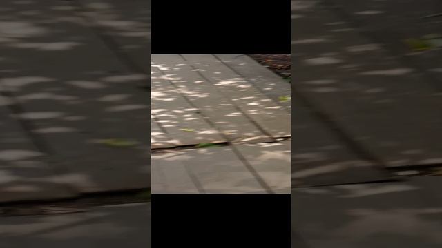 у холодика не написан свой номер телефон хотя я знаю что не было желающих