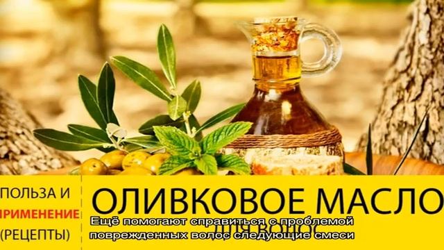 Оливковое масло для волос. Рецепты масок