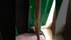 Продаю БАЯН Москва. 1989 г.в. состояние 4+. Миасс Челябинская область