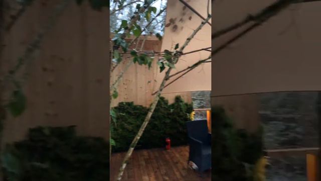 Палатка в лесу за 18 000 рублей в сутки. Глэмпинг в Сочи. смотреть онлайн