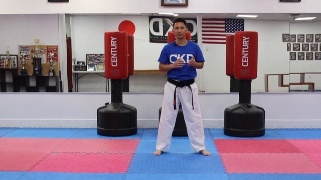 KARATE For Beginners - Lesson 4 / Karate Combo
