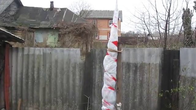 Укрываю на зиму персик Рэд Хейвен и грушу Любимица Клаппа смотреть онлайн