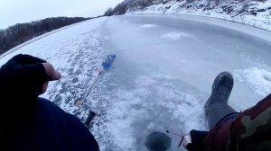 Поиск рыбы в заводи!