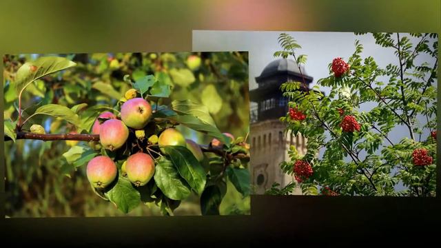 Я ЛЮБЛЮ СВОЮ СТРАНУ смотреть онлайн