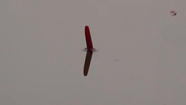 Рыбалка на Озере Карасун, Краснодар на поплавочную удочку. Fishing, angeln, la pesca, câu cá смотреть онлайн