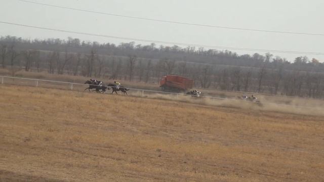28.10.2023 - ипп. "Свободный Труд" - Приз памяти Героя Ставропольского кр П.В.Лобанова - Гордый Ски смотреть онлайн