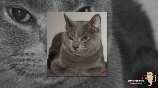 Узник смотреть онлайн