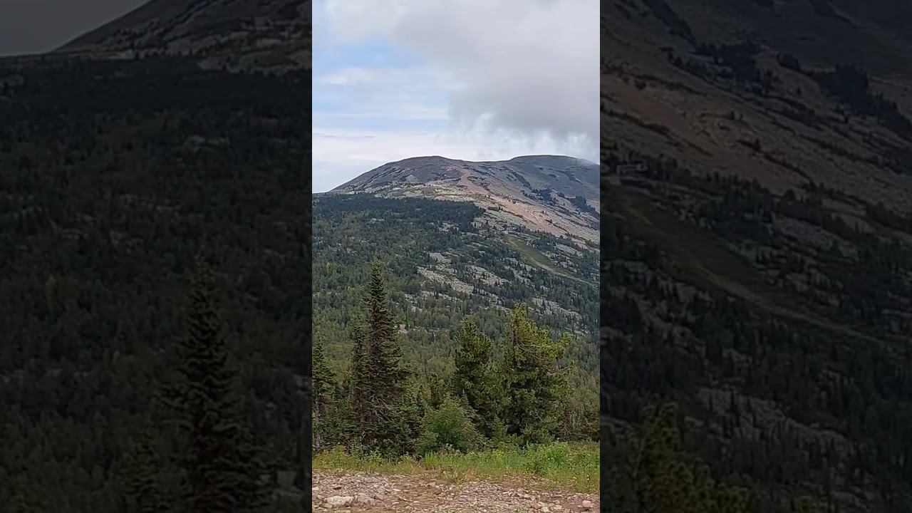 Шерегеш август 2022 год. Горы. Красивая природа.. #shorts #шерегеш #горы смотреть онлайн