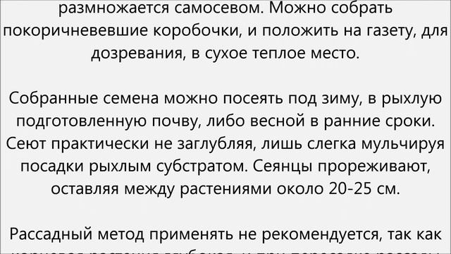 Эшшольция уход смотреть онлайн