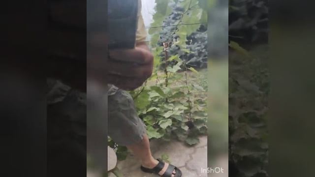 удаление не глубоких царапин средством Браво смотреть онлайн