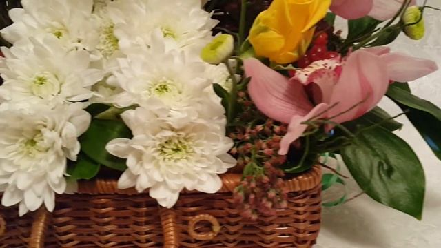 Пудель из цветов смотреть онлайн