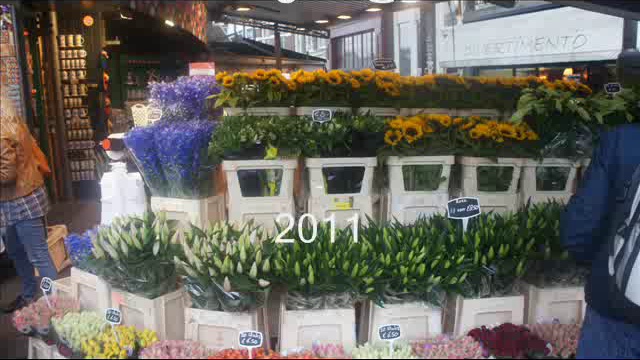 Велосипедный Амстердам