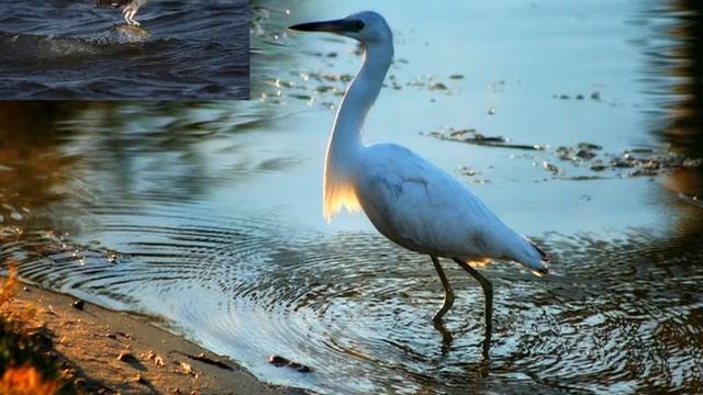 Кому нужна вода смотреть онлайн