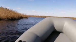 Лодочный мотор Sea pro 2.6 л.с.