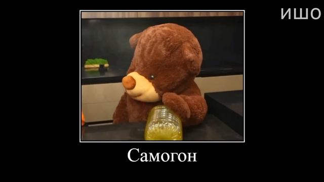 Муд Влад А4 демотиватор (Плюшевый Мишка стал Живым) смотреть онлайн