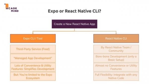 Expo vs React Native CLI