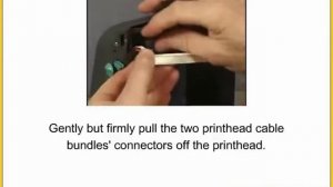 Zebra GX420d. Замена термоголовки принтера этикеток.