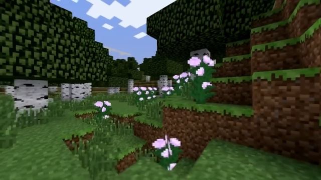 Minecraft Biomes: Birch Forest смотреть онлайн
