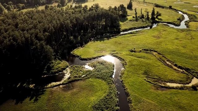 Причина, по которой РЫСЬ встала на защиту этой коровы просто НЕВЕРОЯТНА смотреть онлайн