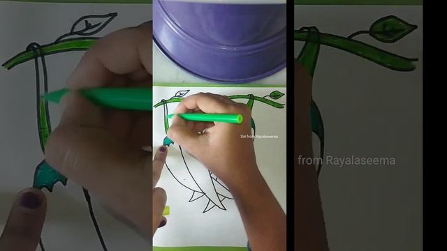 Red chilli drawing with fingers ? for beginners@Sirifromrayalaseema#redchilli#drawing#art смотреть онлайн
