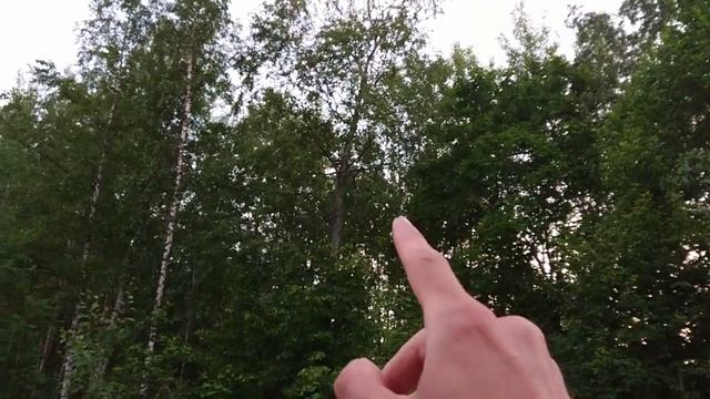 Антенна на дачном участке. смотреть онлайн