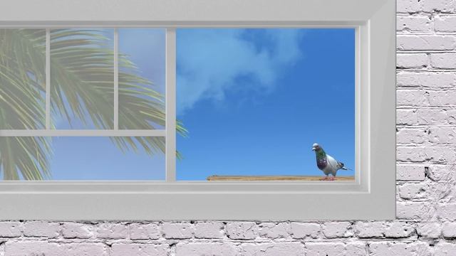 CAT Games | Nature, Birds and Windows | 3D Videos For Cats to Watch | ? смотреть онлайн