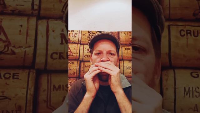 (Over In The) Gloryland - Harmonica смотреть онлайн