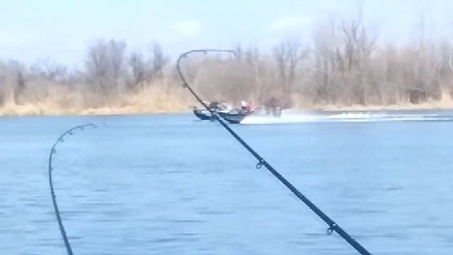 Лещ пошел ? Когда же будет ход леща?