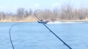 Лещ пошел ? Когда же будет ход леща?