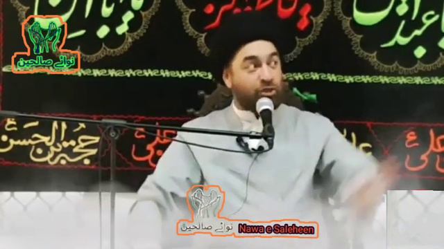 Allama Ali Raza|Momin kabhi afrat o tafreet kashikar nahihota@MaulanaSyedAliRazaRizviChannel смотреть онлайн