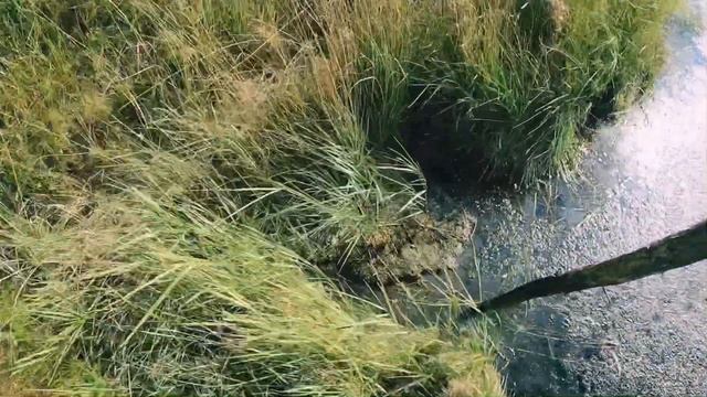 Осенняя охота на уток в Якутии смотреть онлайн