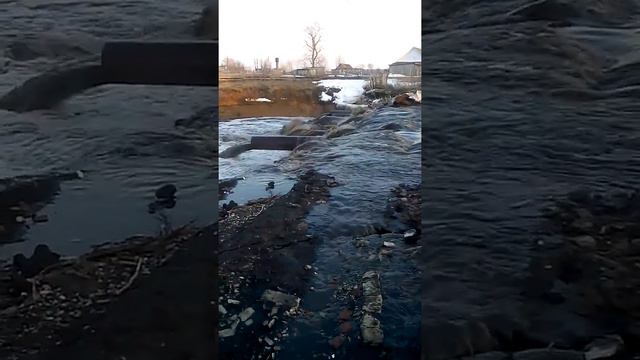 Видео МОИСЕЕВКА 2 смотреть онлайн