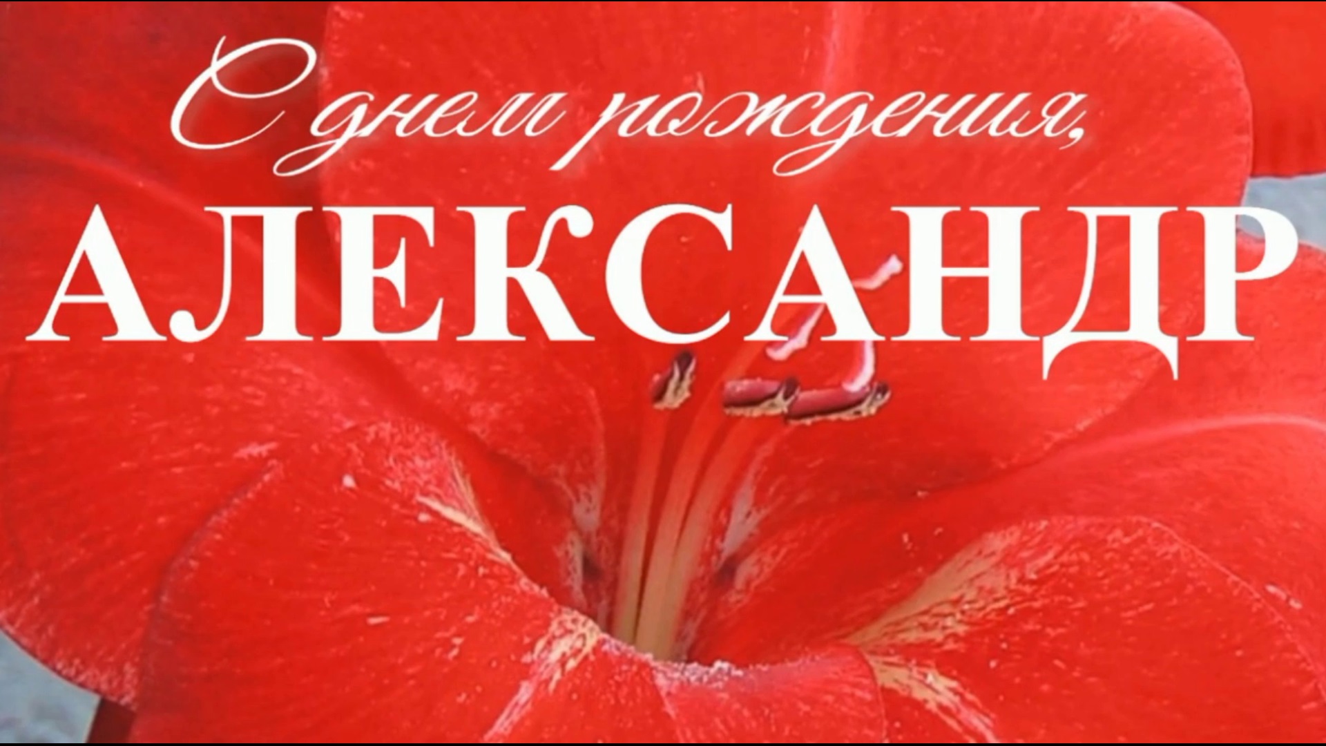 АЛЕКСАНДР, С ДНЕМРОЖДЕНИЯ смотреть онлайн