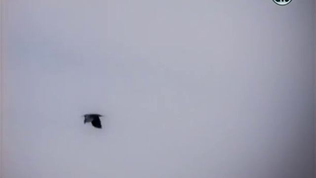 Москва и окрестности - Александров, часть 1 смотреть онлайн