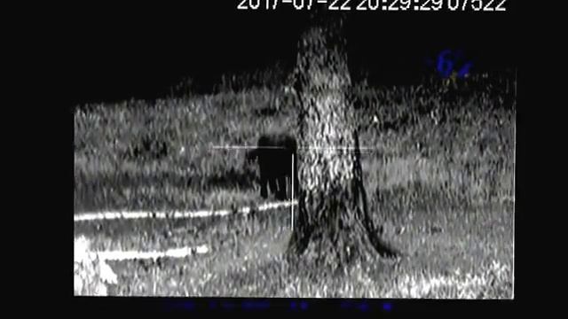 Pulsar Digisight LRF N970 смотреть онлайн