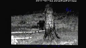 Pulsar Digisight LRF N970