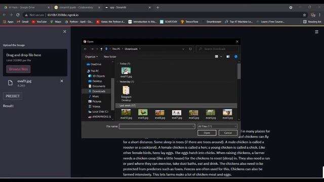 Animal-10 || Kaggle Dataset || Streamlit || Tensorflow || Keras || VGG16 || AI Projects