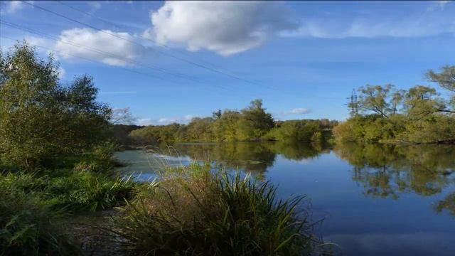 Последние осенние цветы смотреть онлайн