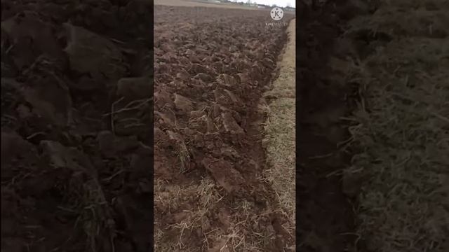 Як плуг має орати 2022 смотреть онлайн