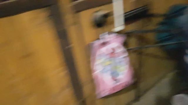 Воспитанный коня) смотреть онлайн
