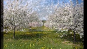 Цветущий май