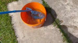 24 ЧАСА В БОЛОТЕ С КОТОМ И СОБАКОЙ | СПАСЛИ СПЯЩУЮ ЛЯГУШКУ И ПИЯВОК