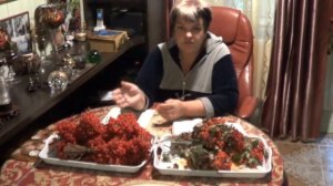 Чем Полезна Калина. "  Калина- и ягода и лекарство" . уроки садоводства. рубрика " усадьба для души