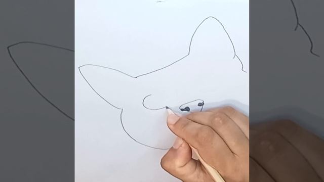 How to Draw cute Cat ? face!! @APDRAWING Как нарисовать милую кошачью мордочку смотреть онлайн