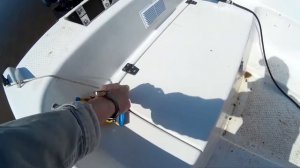 Кайман 350 дельфинирование лодки