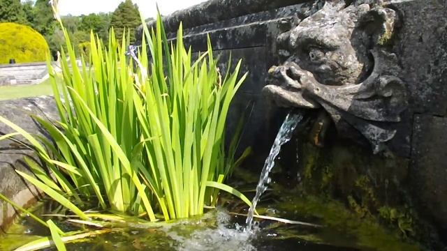 Fujifilm FinePix SL300 Test Video смотреть онлайн