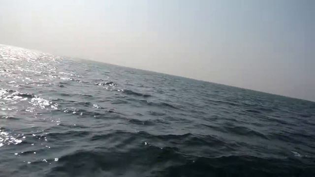 Экскурсия на лодке, Арабское море, Индия смотреть онлайн