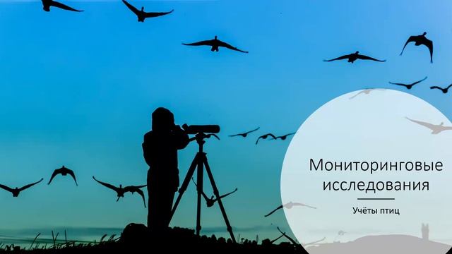 Методы научных исследований на ООПТ смотреть онлайн