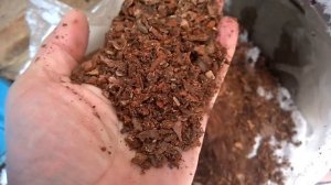 Мульча из коры , зачем и почему ?