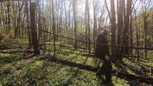 Коп в лесу - овраги села Бездрык КОП с xp Deus смотреть онлайн
